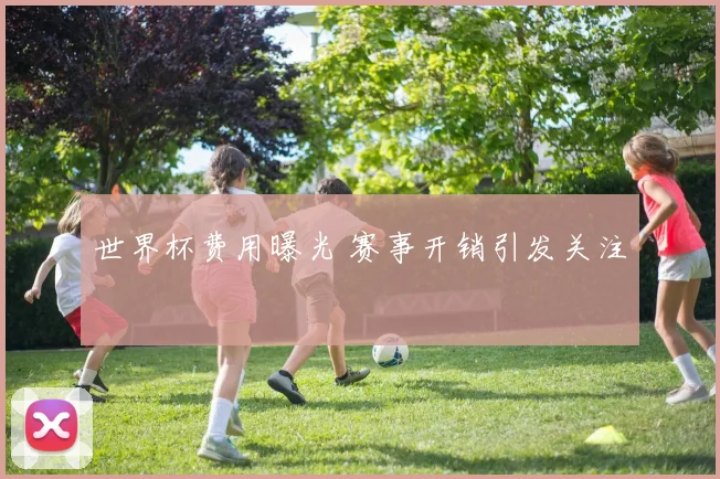 世界杯费用曝光 赛事开销引发关注