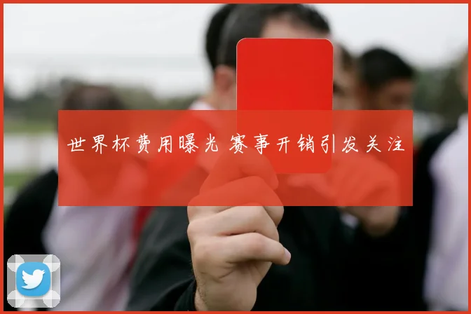 世界杯费用曝光 赛事开销引发关注