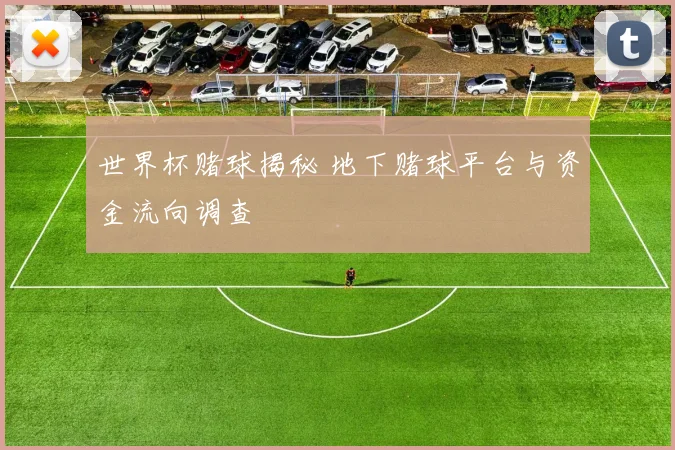 世界杯赌球揭秘 地下赌球平台与资金流向调查