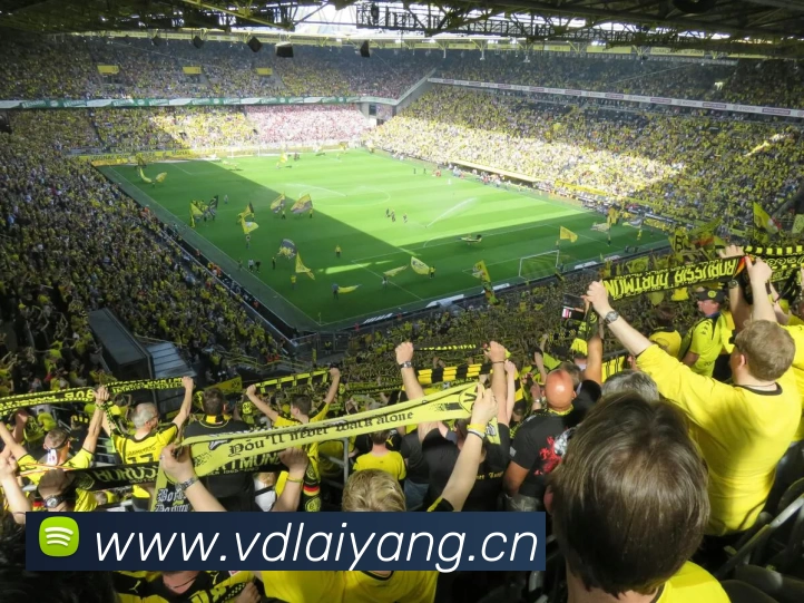 leyu官网入口发展历程